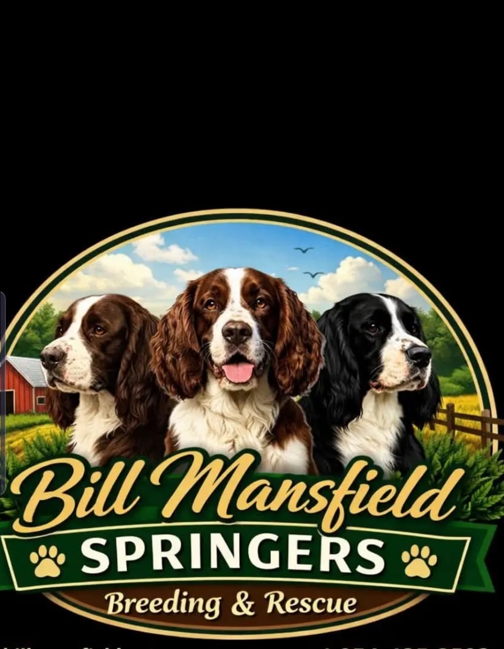 Bill Mansfield